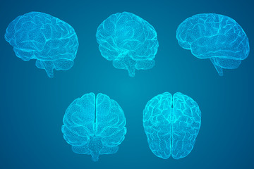 公司高层管理人员岗位职责