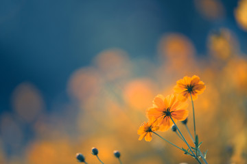 三年级上册脱式算式100道