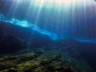 上海植物园几点关门时间