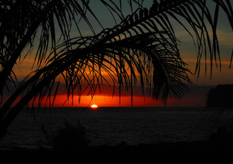 上海植物园几点关门时间