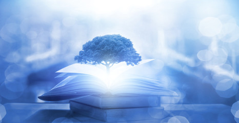 紫苏磨成粉加蜂蜜外涂有什么功效