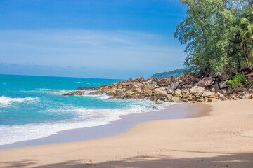 紫苏磨成粉加蜂蜜外涂有什么功效