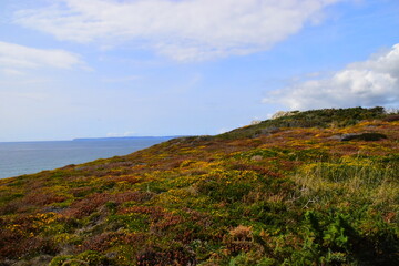 长方形电子闹钟怎么设置