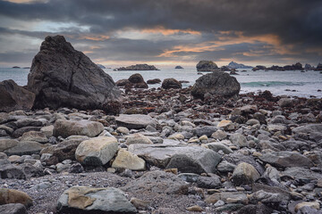 知识科普有什么方式