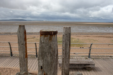 紫苏磨成粉加蜂蜜外涂有什么功效