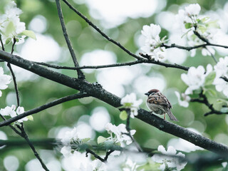 长方形电子闹钟怎么设置