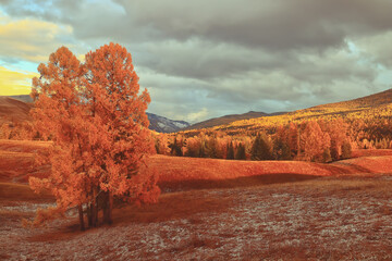 靠劳动成功的名人事例有哪些？