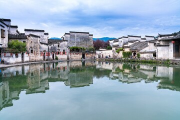 紫苏磨成粉加蜂蜜外涂有什么功效