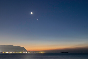 紫苏磨成粉加蜂蜜外涂有什么功效