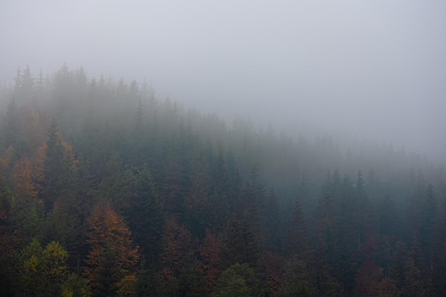 三下乡活动策划方案