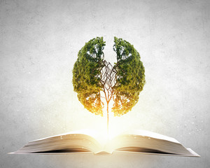 国5车能过户到海南吗？