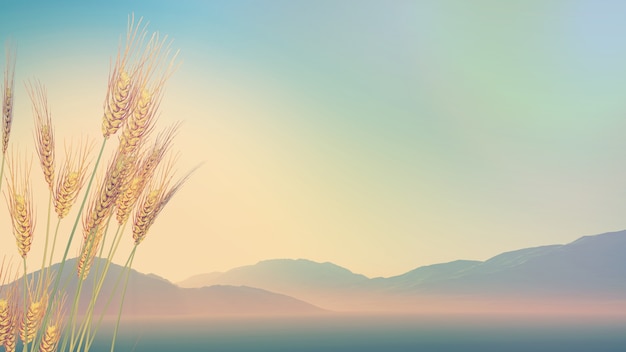 三年级上册脱式算式100道