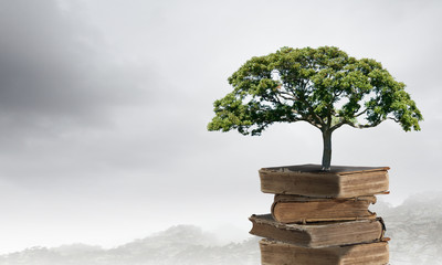 长方形电子闹钟怎么设置