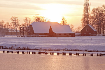 紫苏磨成粉加蜂蜜外涂有什么功效