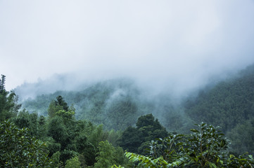 三下乡活动策划方案